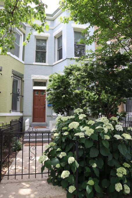 3-Bedroom House With Cute Patio Explore Dc On Foot Washington Buitenkant foto