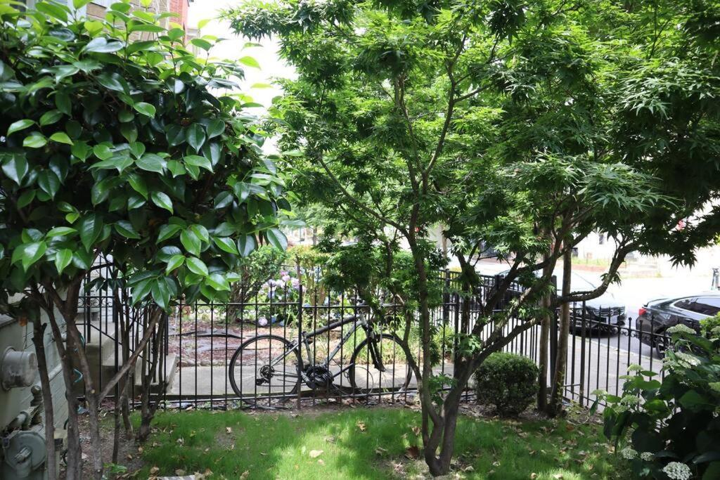 3-Bedroom House With Cute Patio Explore Dc On Foot Washington Buitenkant foto